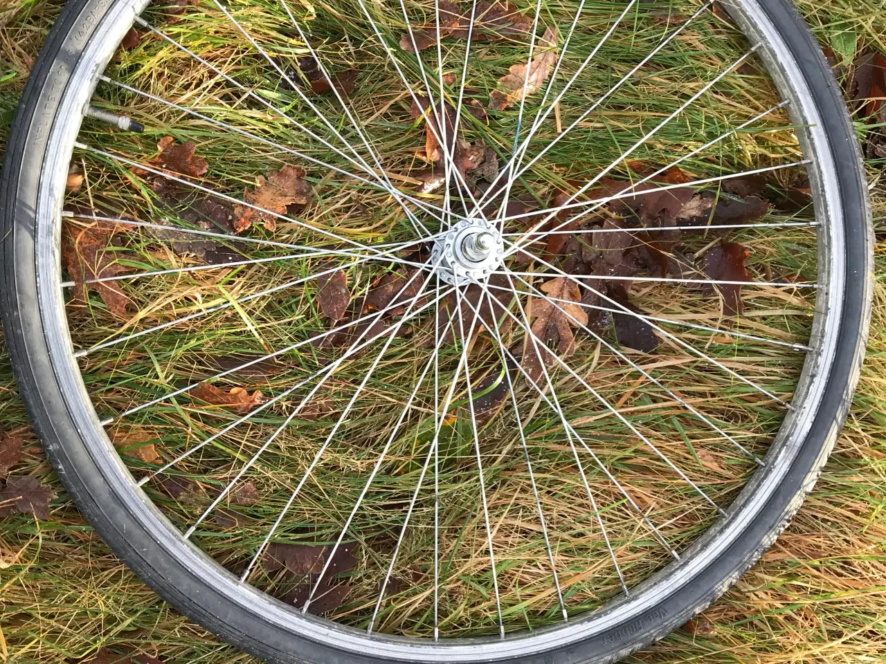 Billede 2 - 28 Tommer Cykel forhjul med Dæk og luft på Slange