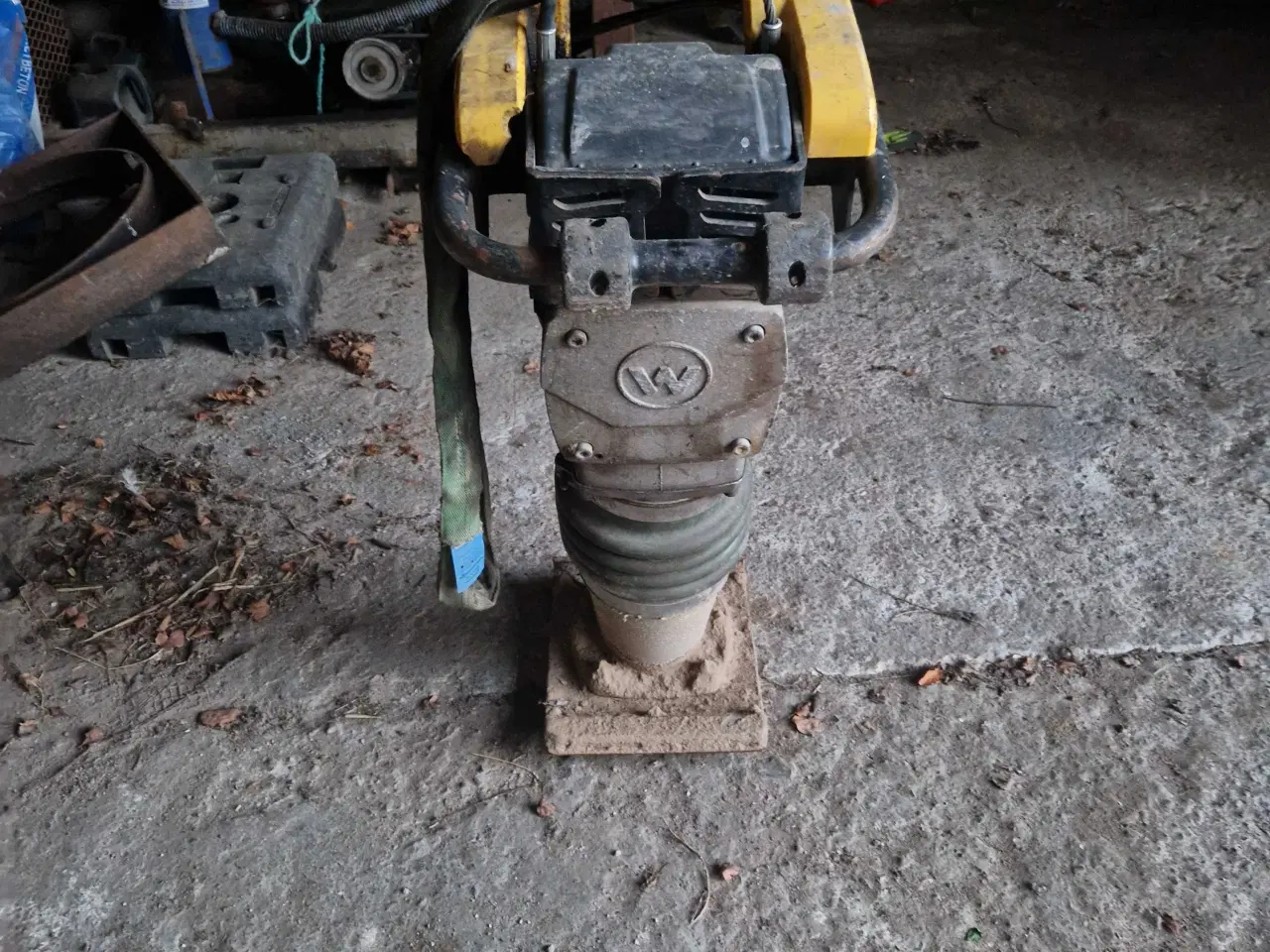 Billede 5 - Jordloppe 