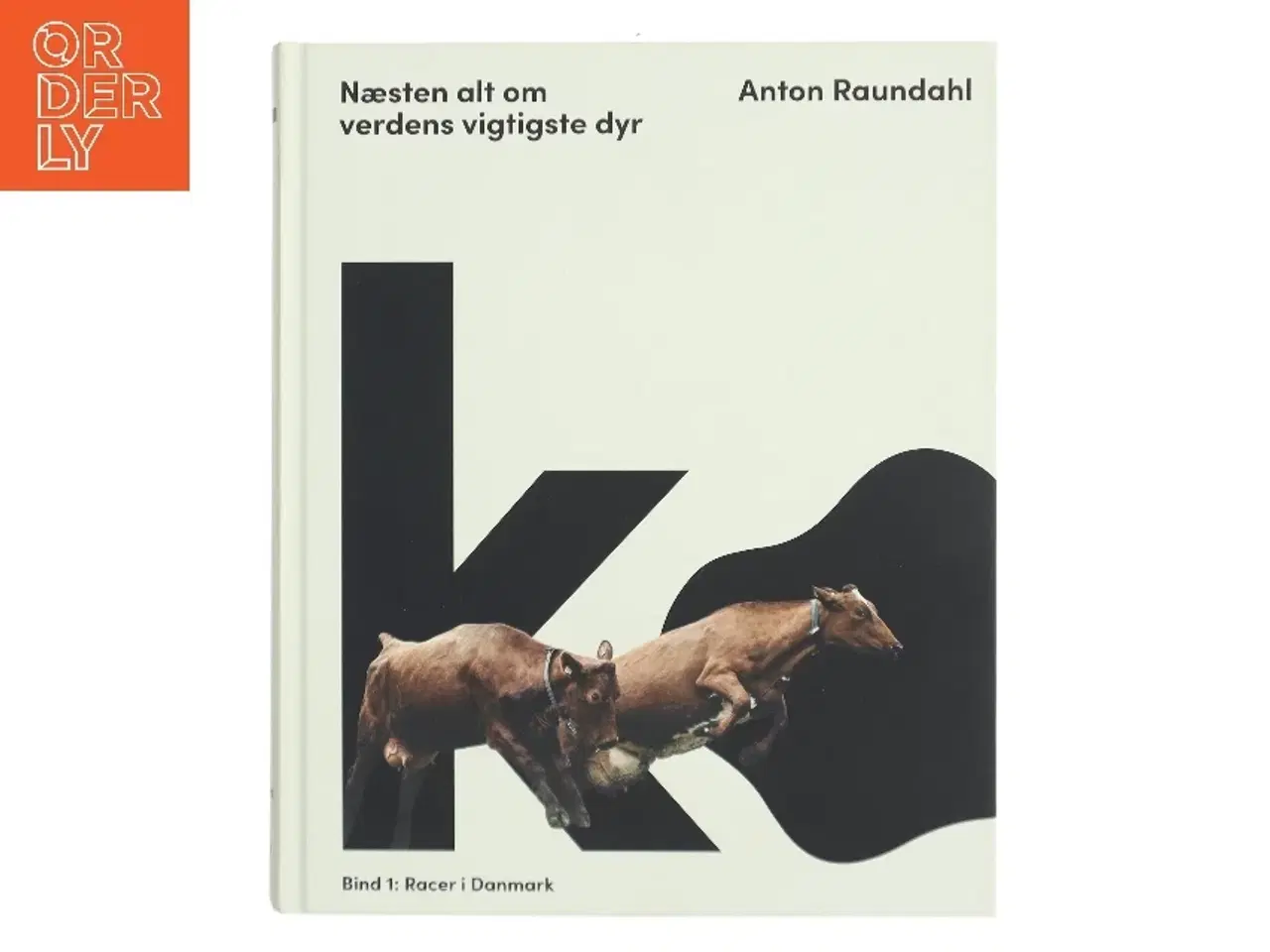 Billede 1 - Ko - næsten alt om verdens vigtigste dyr af Anton Raundahl (Bog)