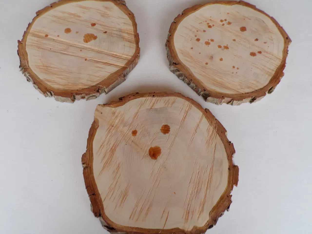 Billede 2 - Nye thuja træskiver 24 - 26 cm