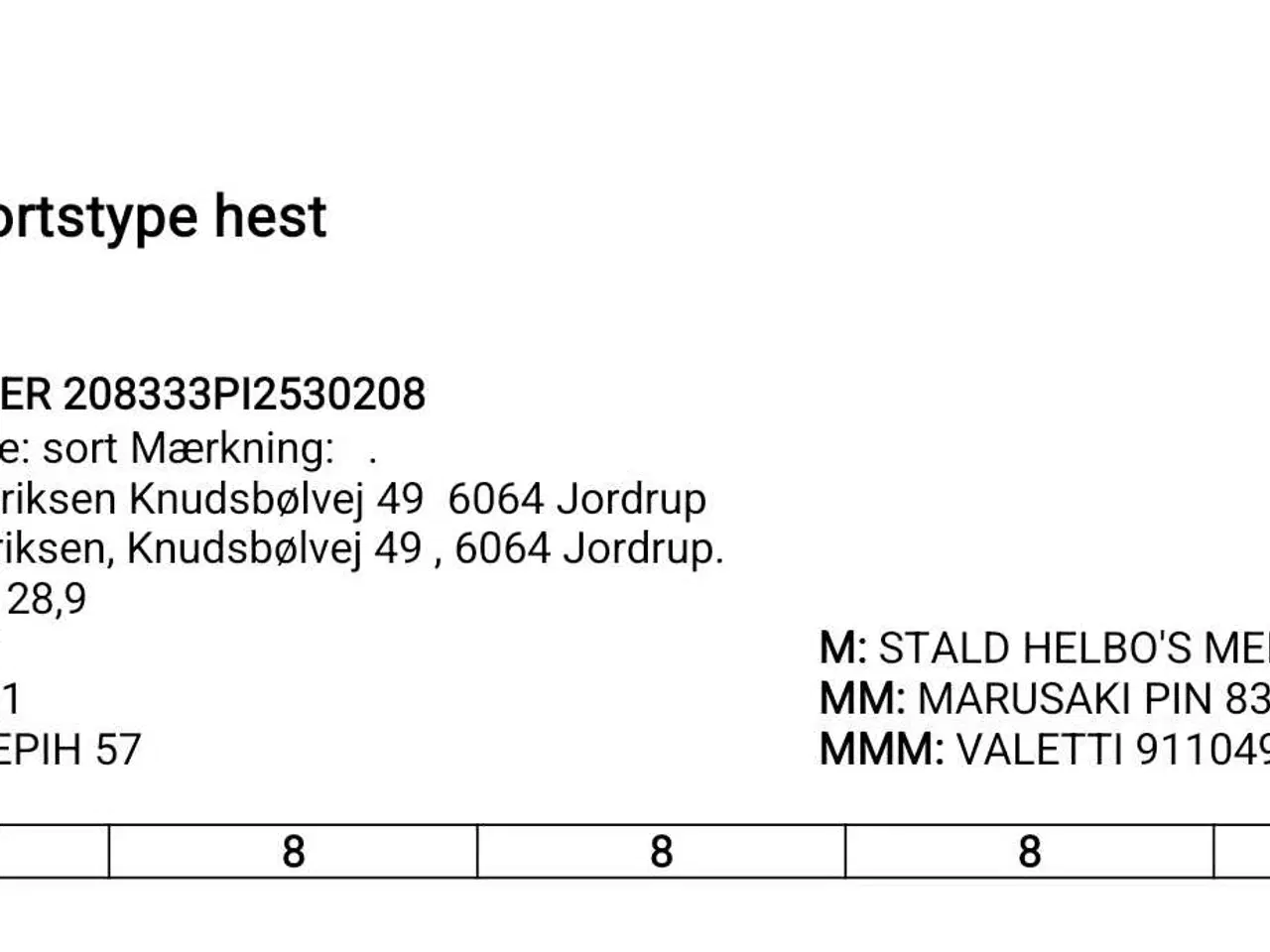 Billede 6 - Føl hingst hest