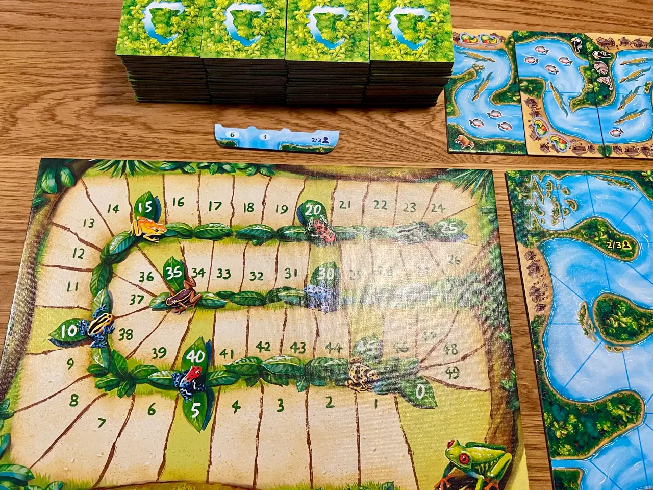 Billede 16 - Carcassonne Amazonas brætspil