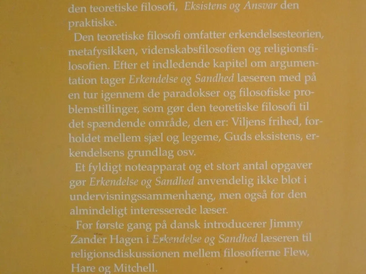Billede 4 - erkendelse og sandhed - teoretisk filosofi, af jim