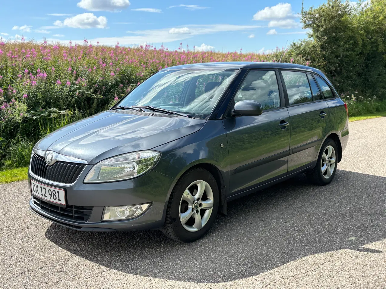 Billede 1 - Skoda Fabia 1.2TDI Greenline