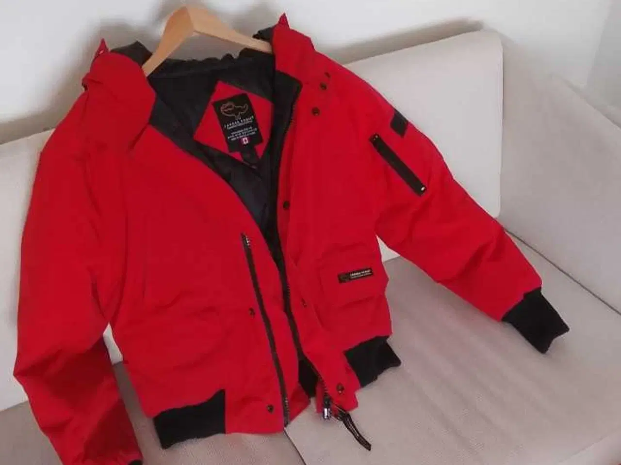 Billede 1 - Canadien Goose