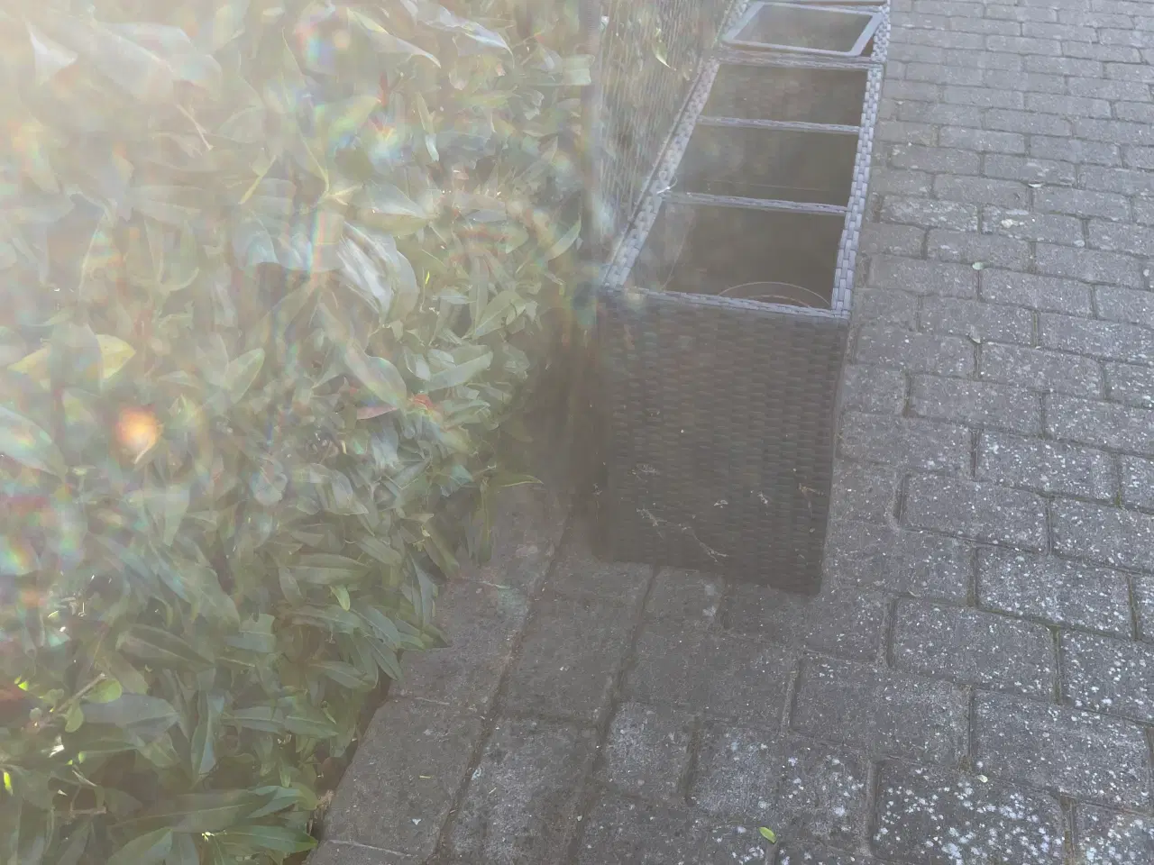 Billede 3 - Sælger de her to stk plantekasser 
