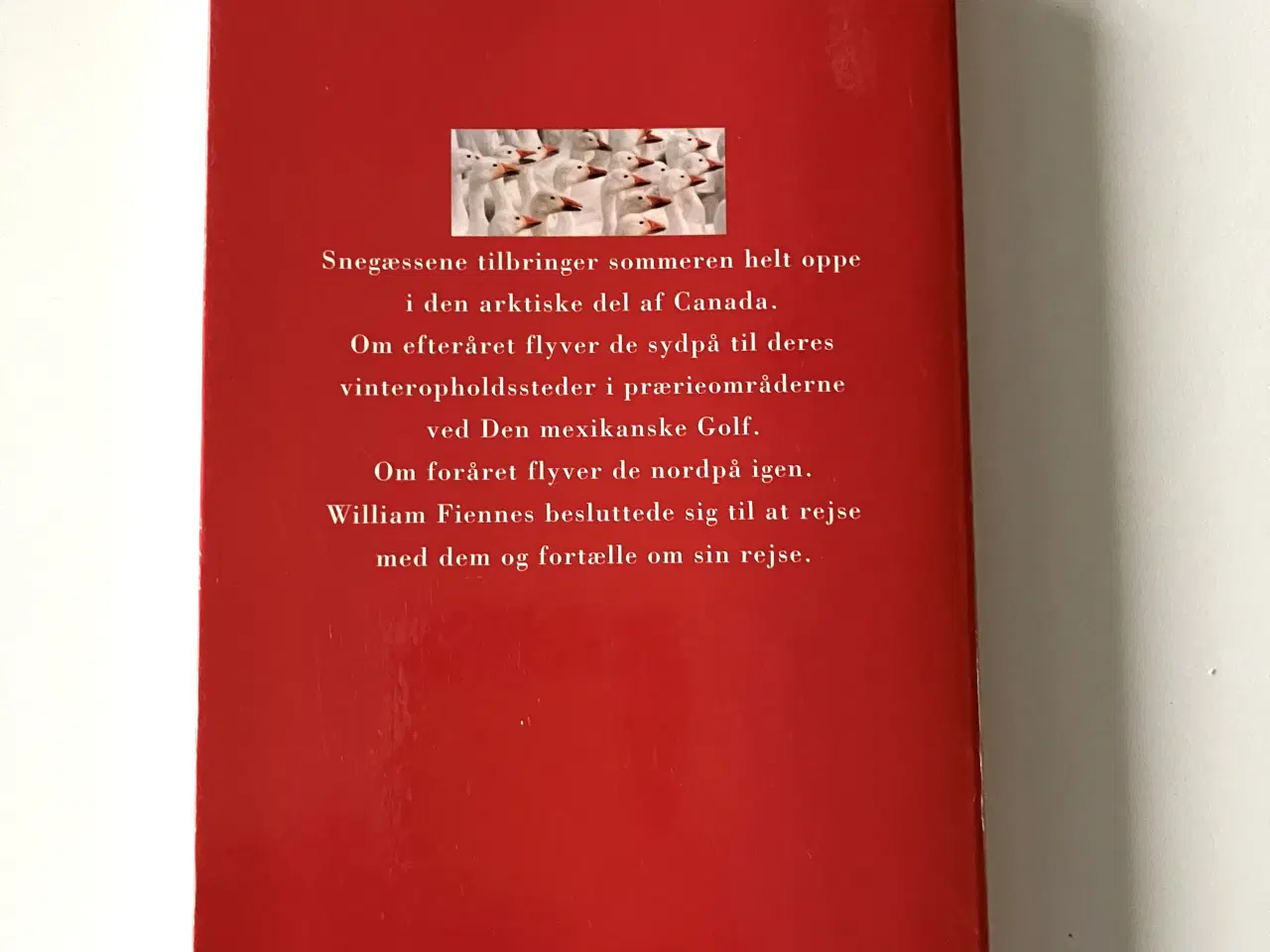 Billede 2 - Snegæssene - en historie om hjemsteder. Af William