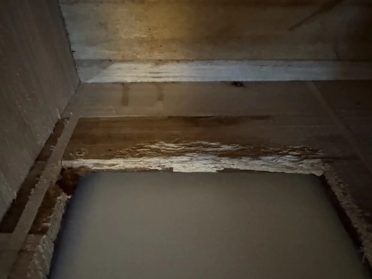 Billede 6 - Gnaverhus m. Høhæk