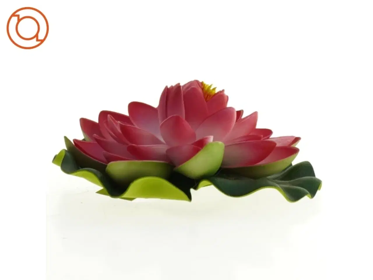 Billede 2 - Lotusblomst (str. 15 cm)