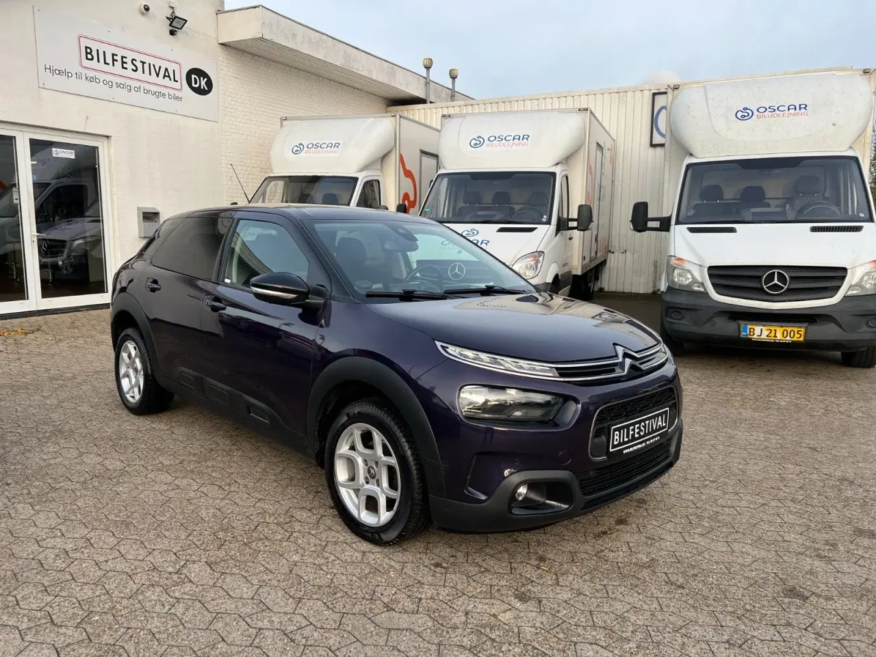 Billede 9 - Citroën C4 Cactus 1,2 PureTech 110 SkyLine