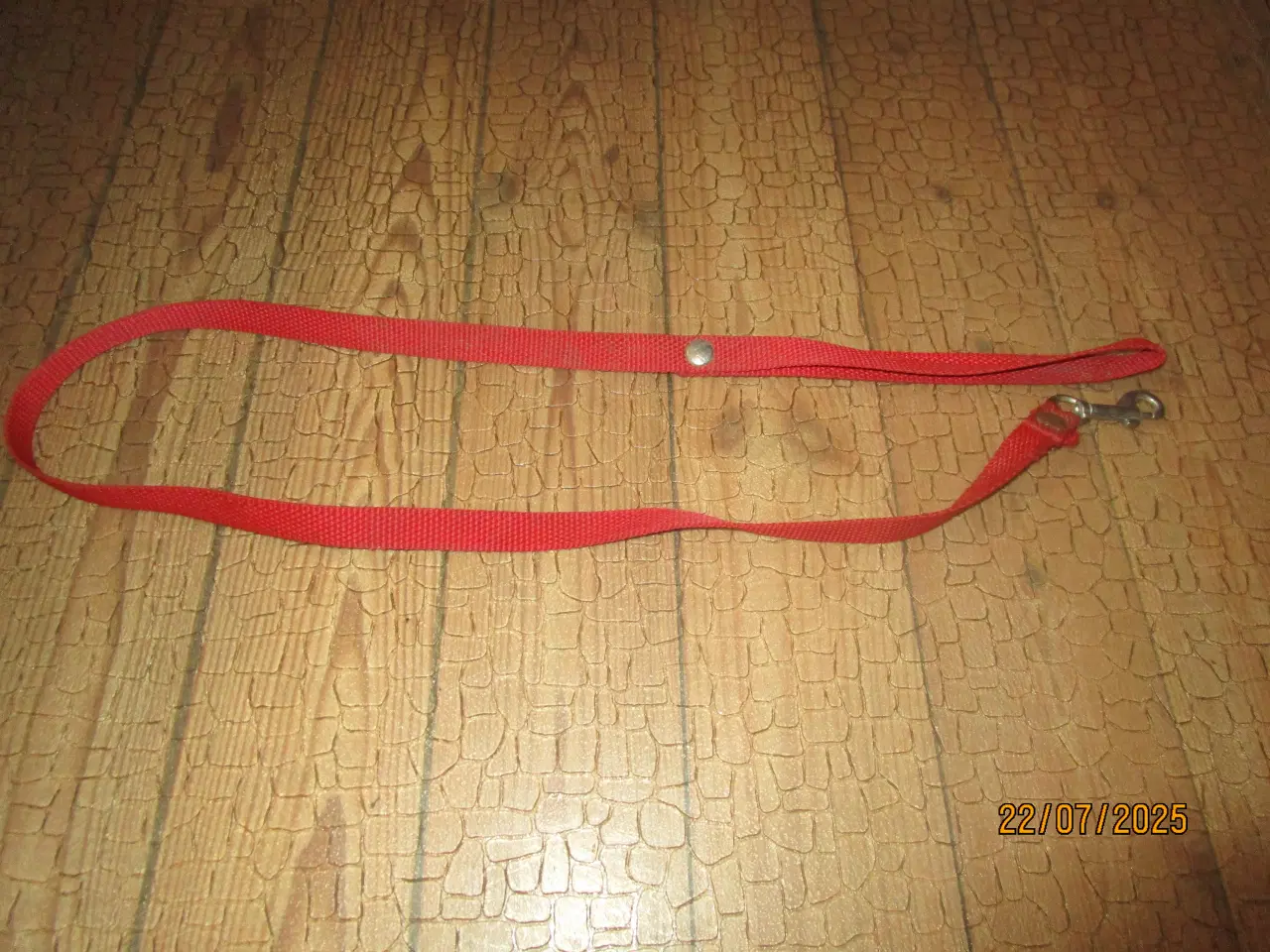 Billede 5 - Masser af ting til både den lille og store hund