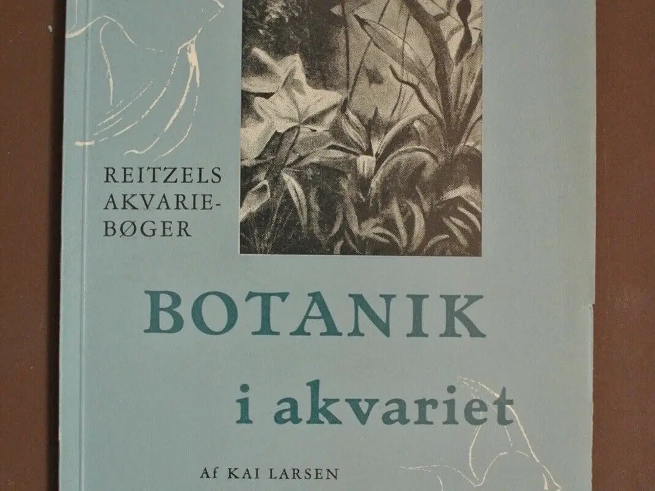 Billede 1 - botanik i akvariet, af kai larsen