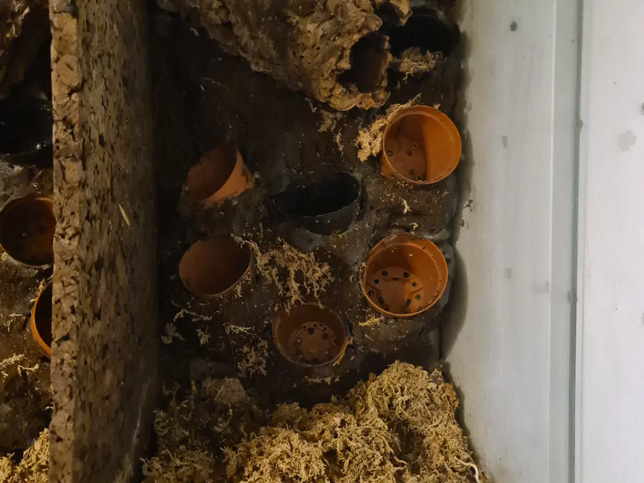 Billede 3 - Terrarium 90x45x90