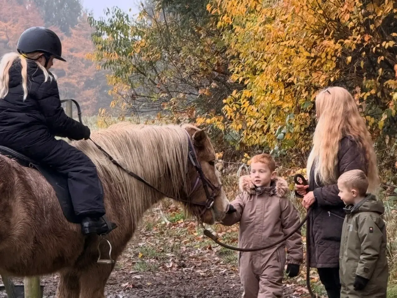 Billede 9 - Tøltende Skovturs- / Konehest