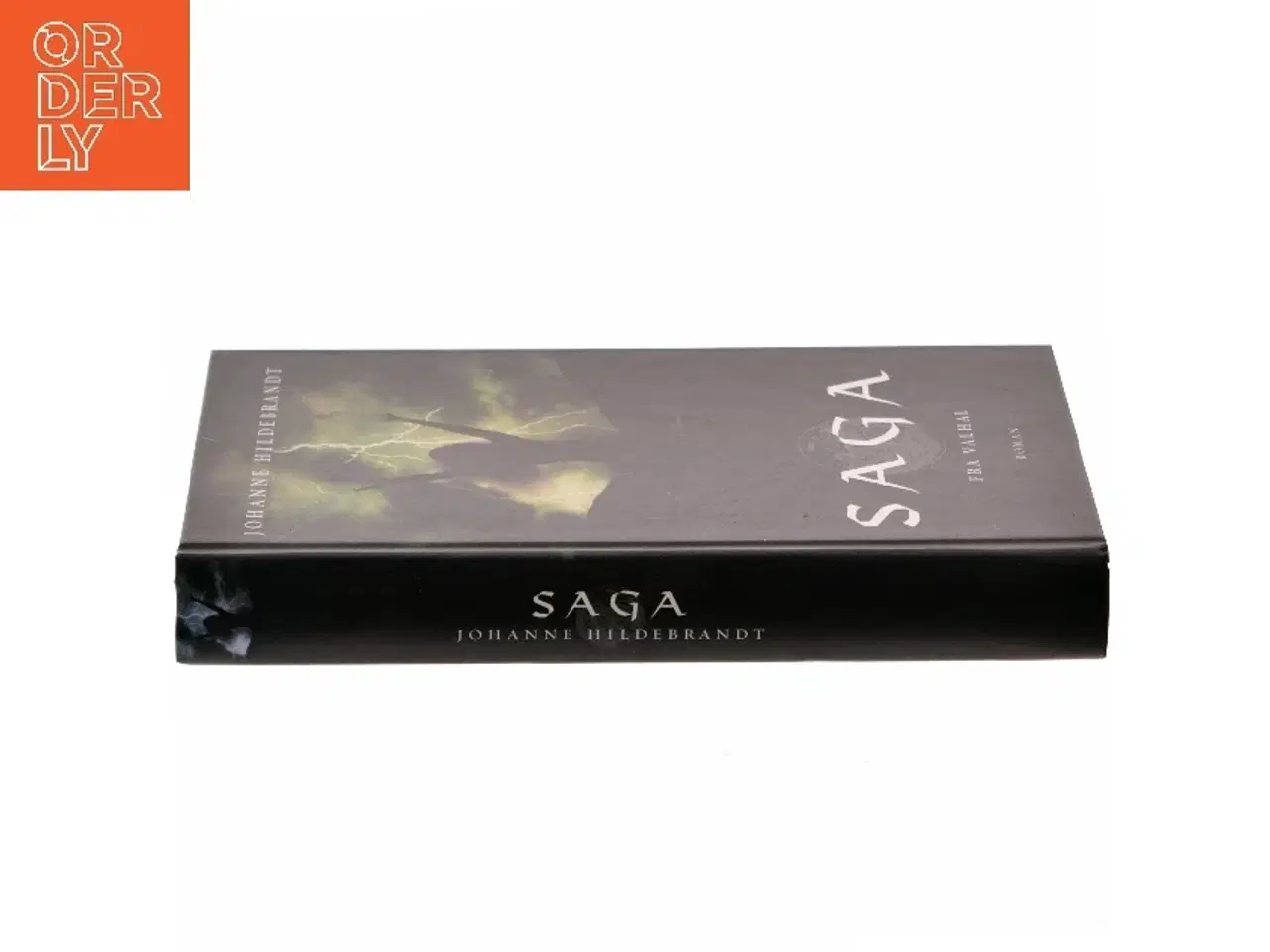Billede 2 - Saga fra Valhal af Johanne Hildebrandt (Bog)
