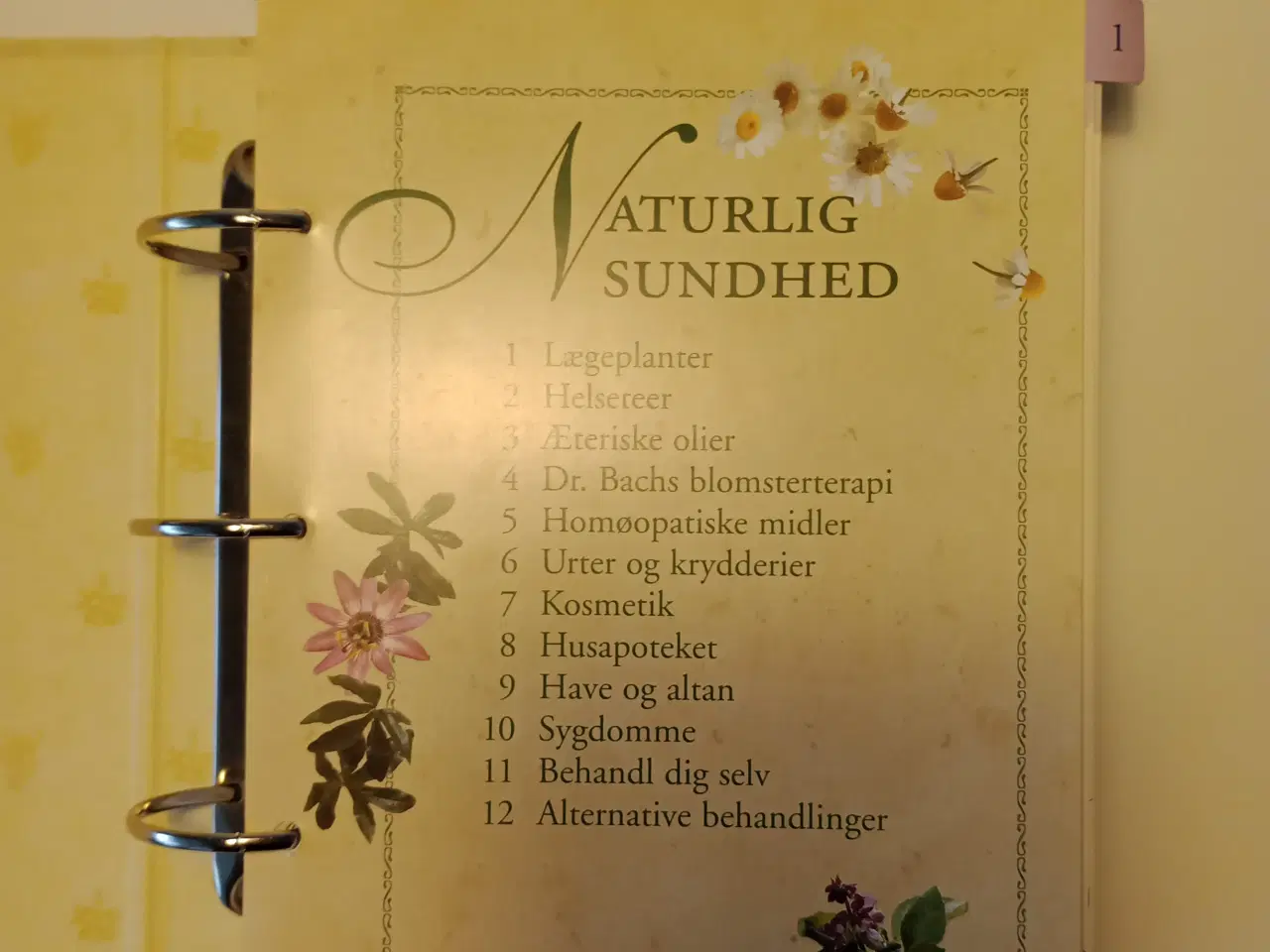 Billede 2 - Naturlig Sundhed Leksikon