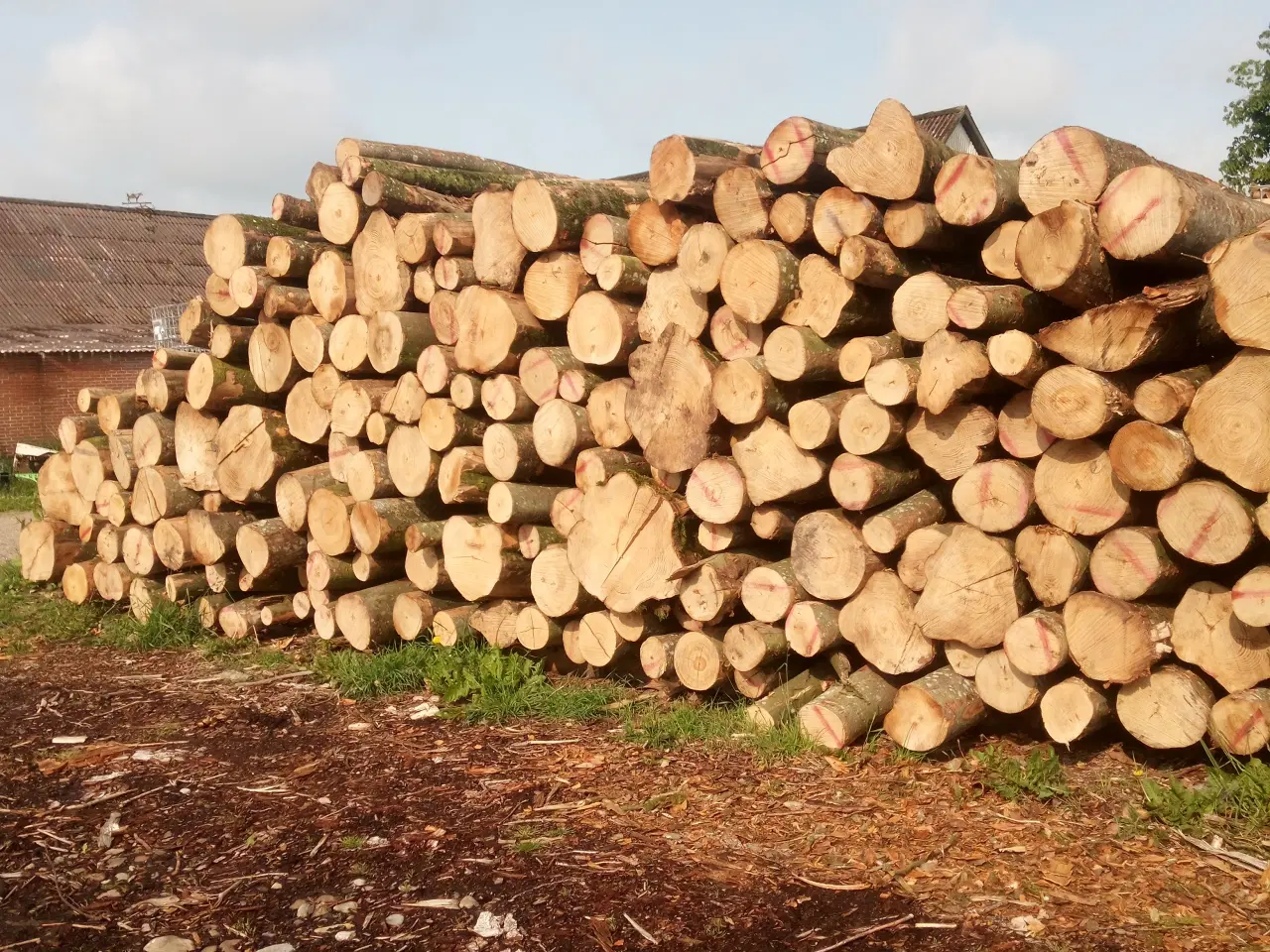 Billede 5 - TØRT BRÆNDE LEVERET