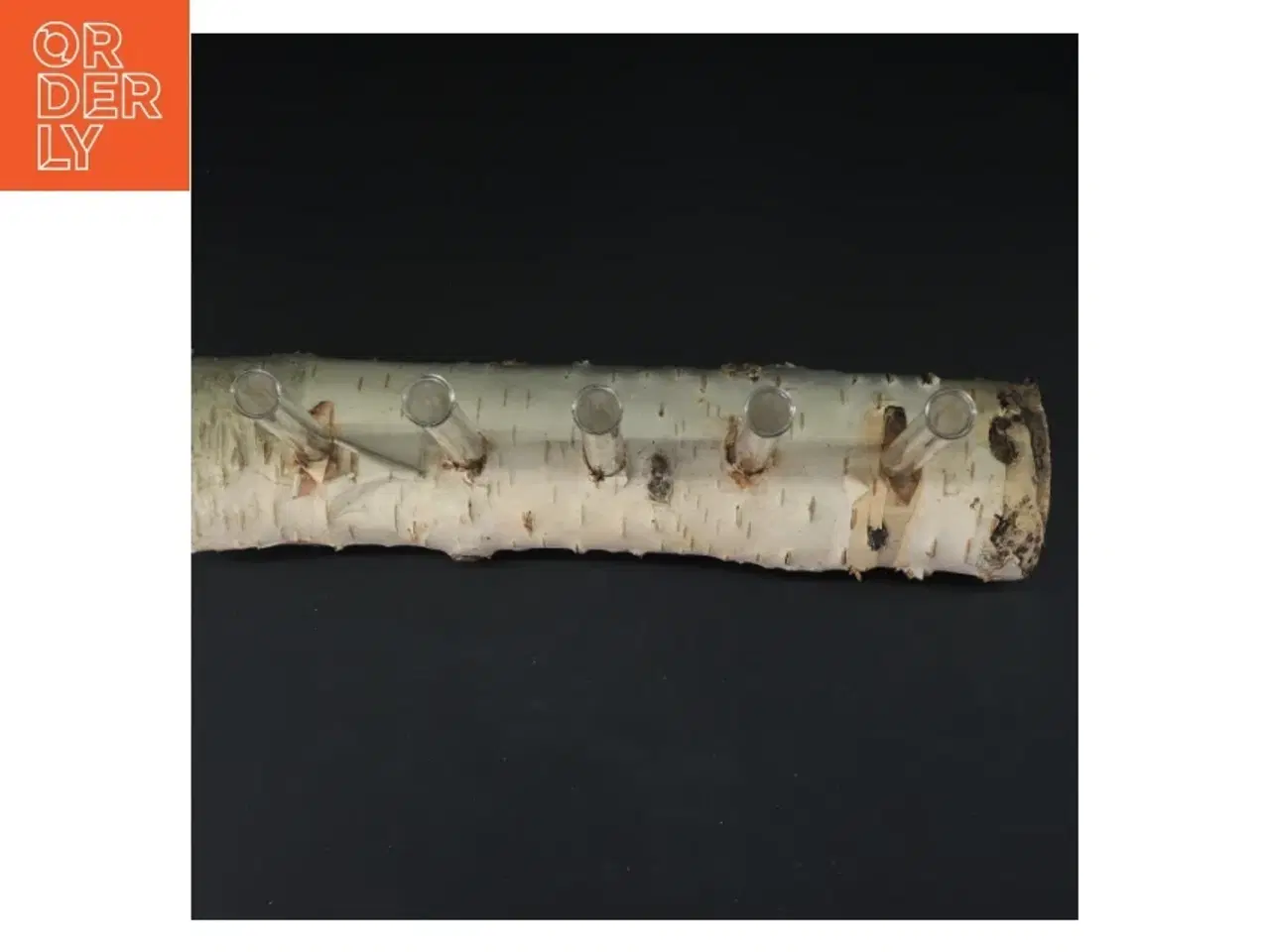 Billede 2 - Unik blomsterholder i birketræ med reagensglas (str. 35x21 cm)