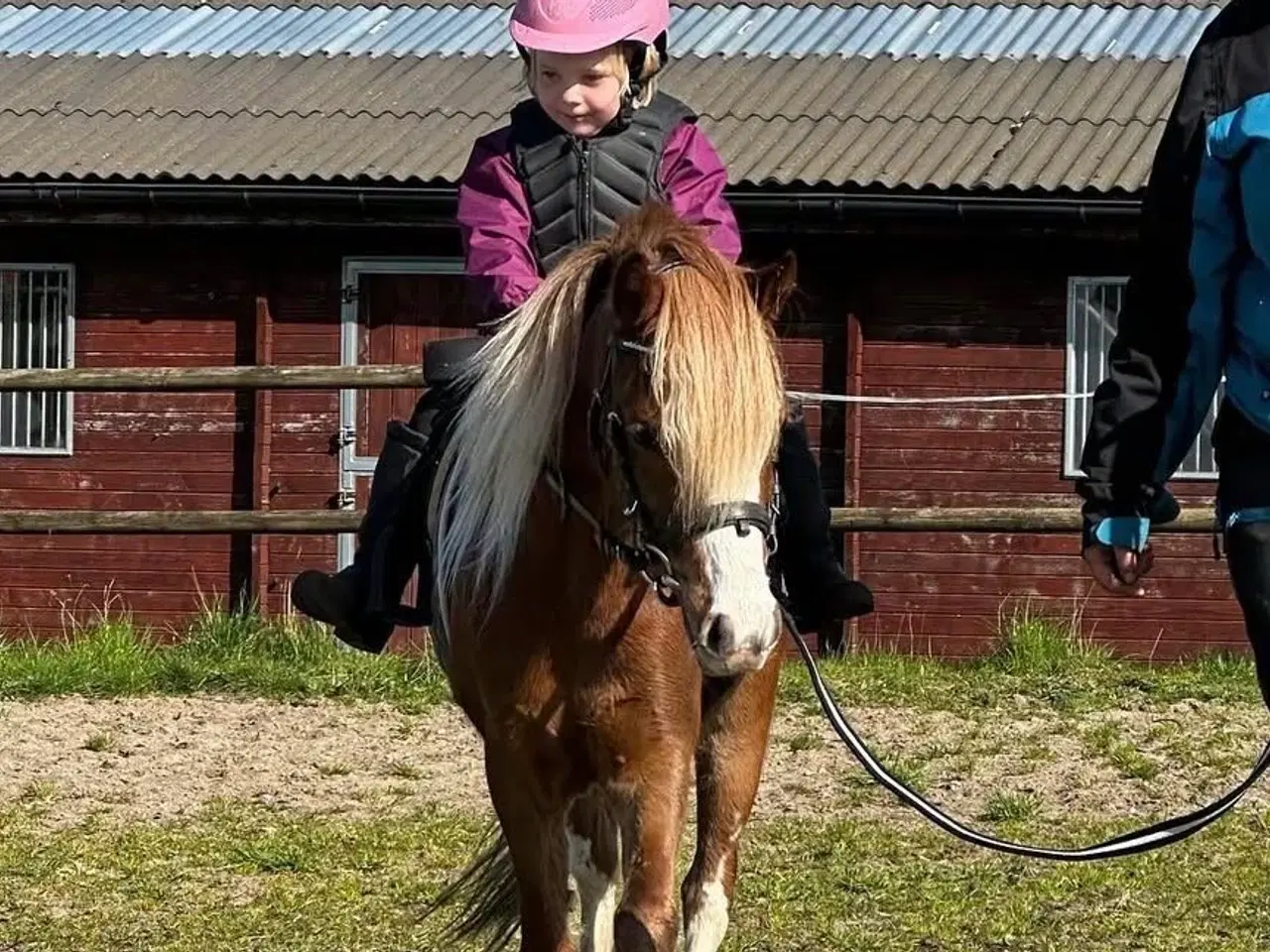 Billede 6 - Børne ponyen 