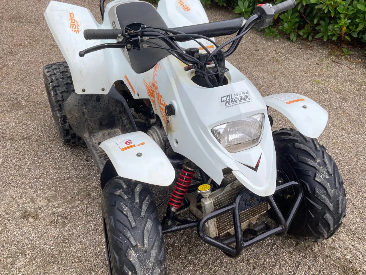 Billede 2 - ATV  GOES 100 cc