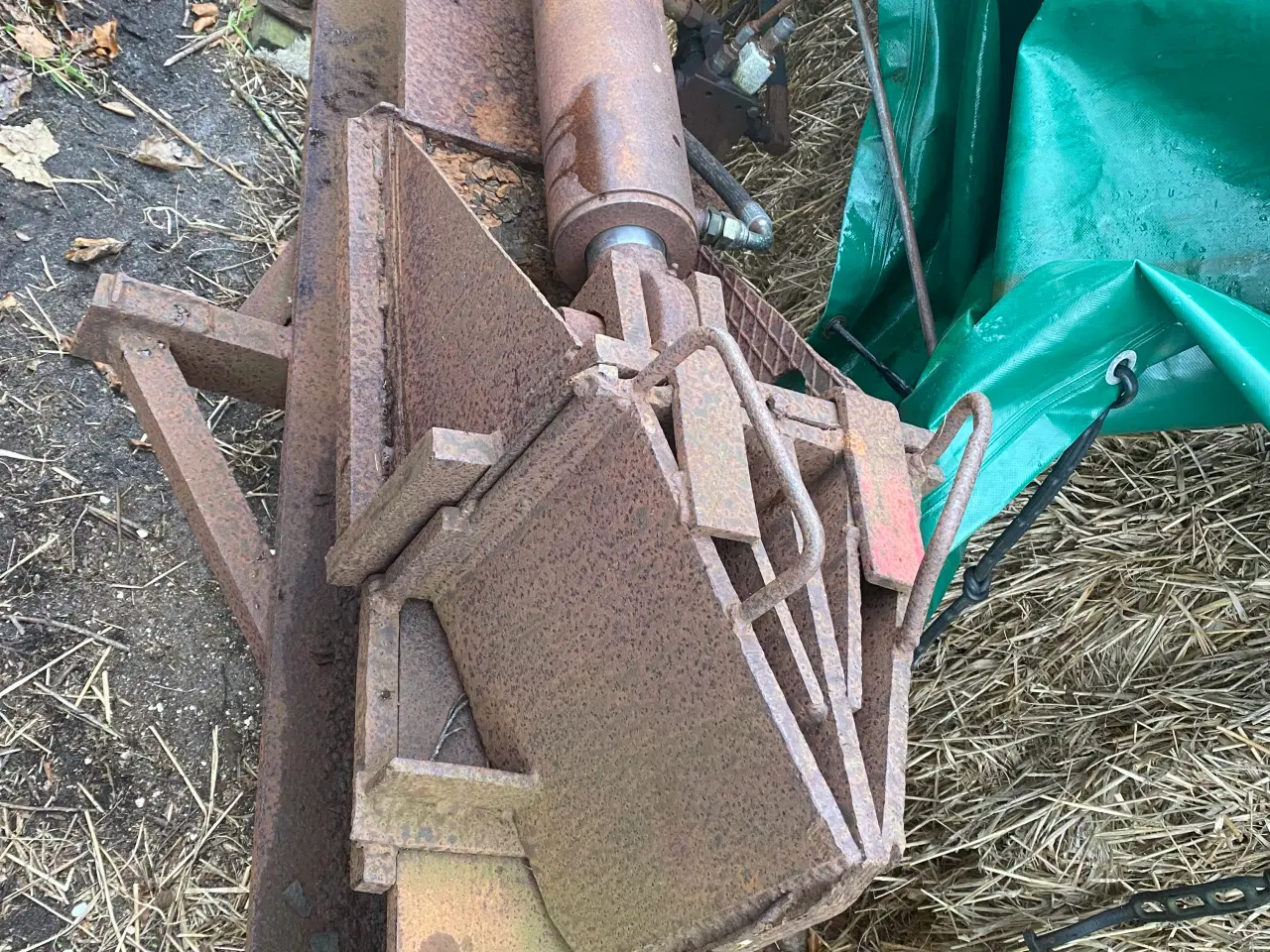 Billede 4 - Trækløver, brændekløver