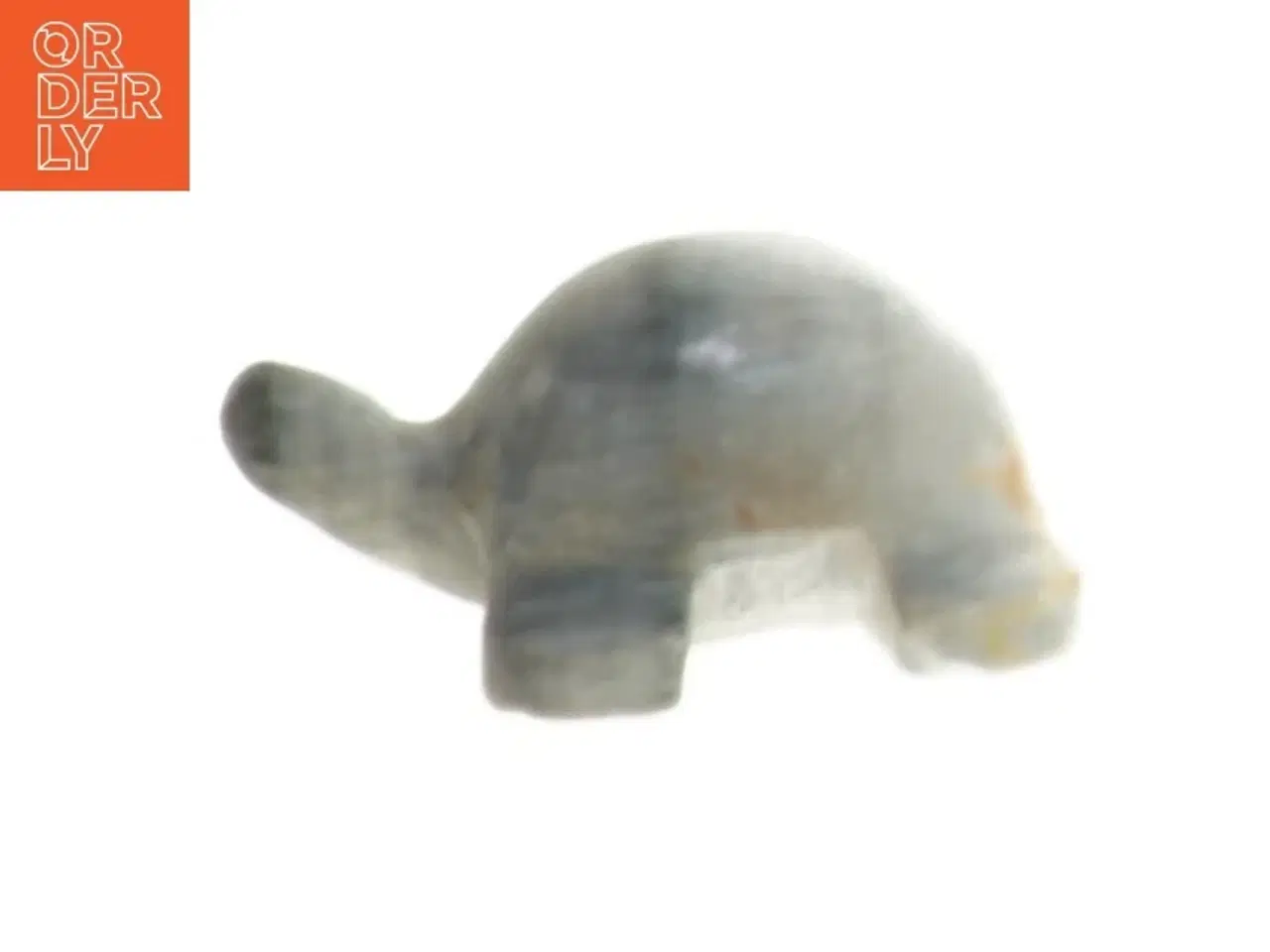 Billede 3 - sten skildpadder (str. 5-7 cm)