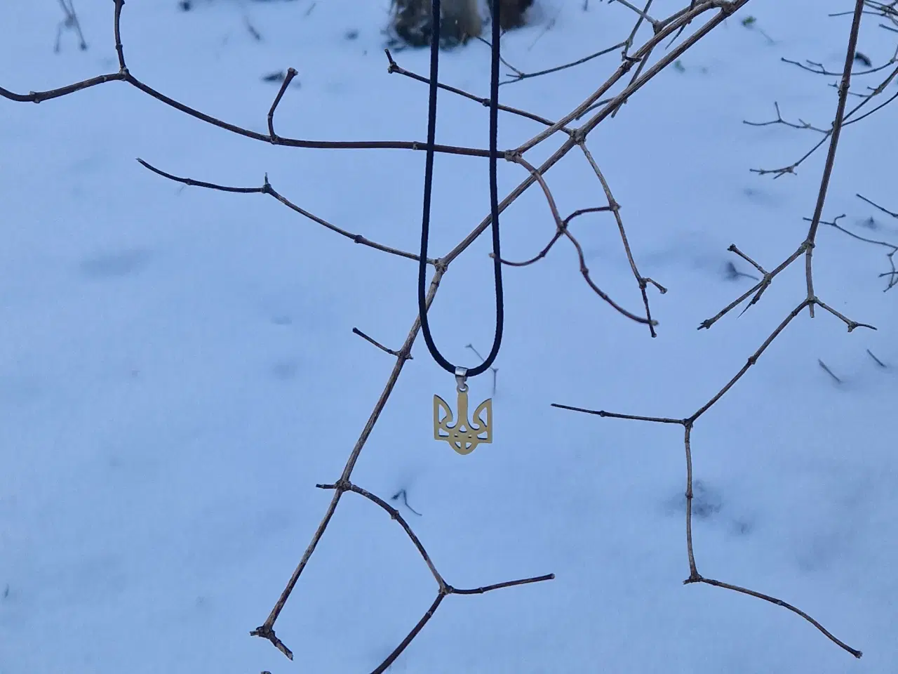 Billede 4 - Halskæde med ukrainsk national symbol som vedhæng
