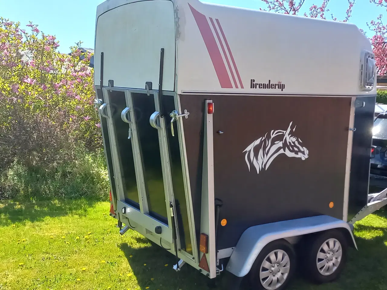 Billede 2 - Hestetrailer 1500 kg. Brenderup