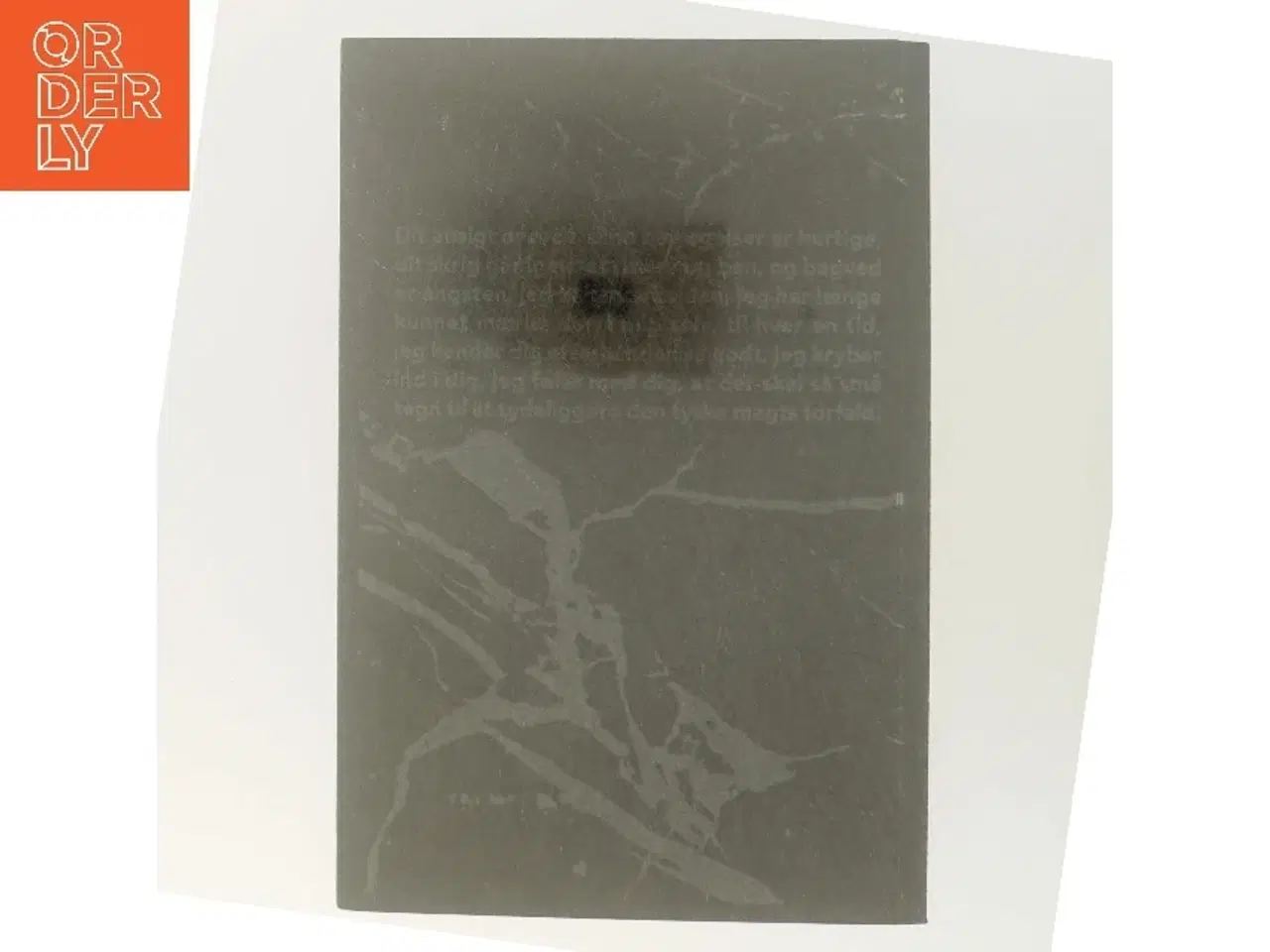 Billede 3 - 'Faderen - Et opgør' af Niklas Frank