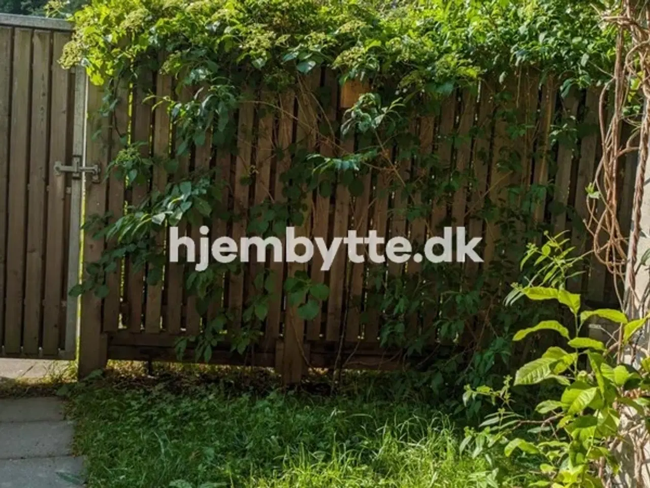 Billede 12 - Hjembytte - Stengade
