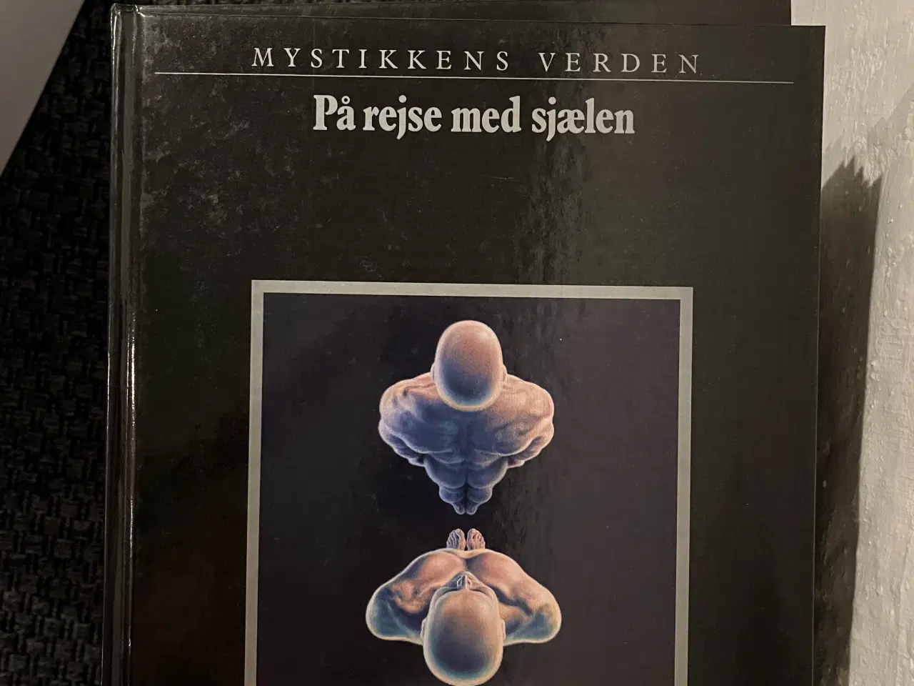 Billede 8 - 28 spændende bøger fra Mystikkens Verden 