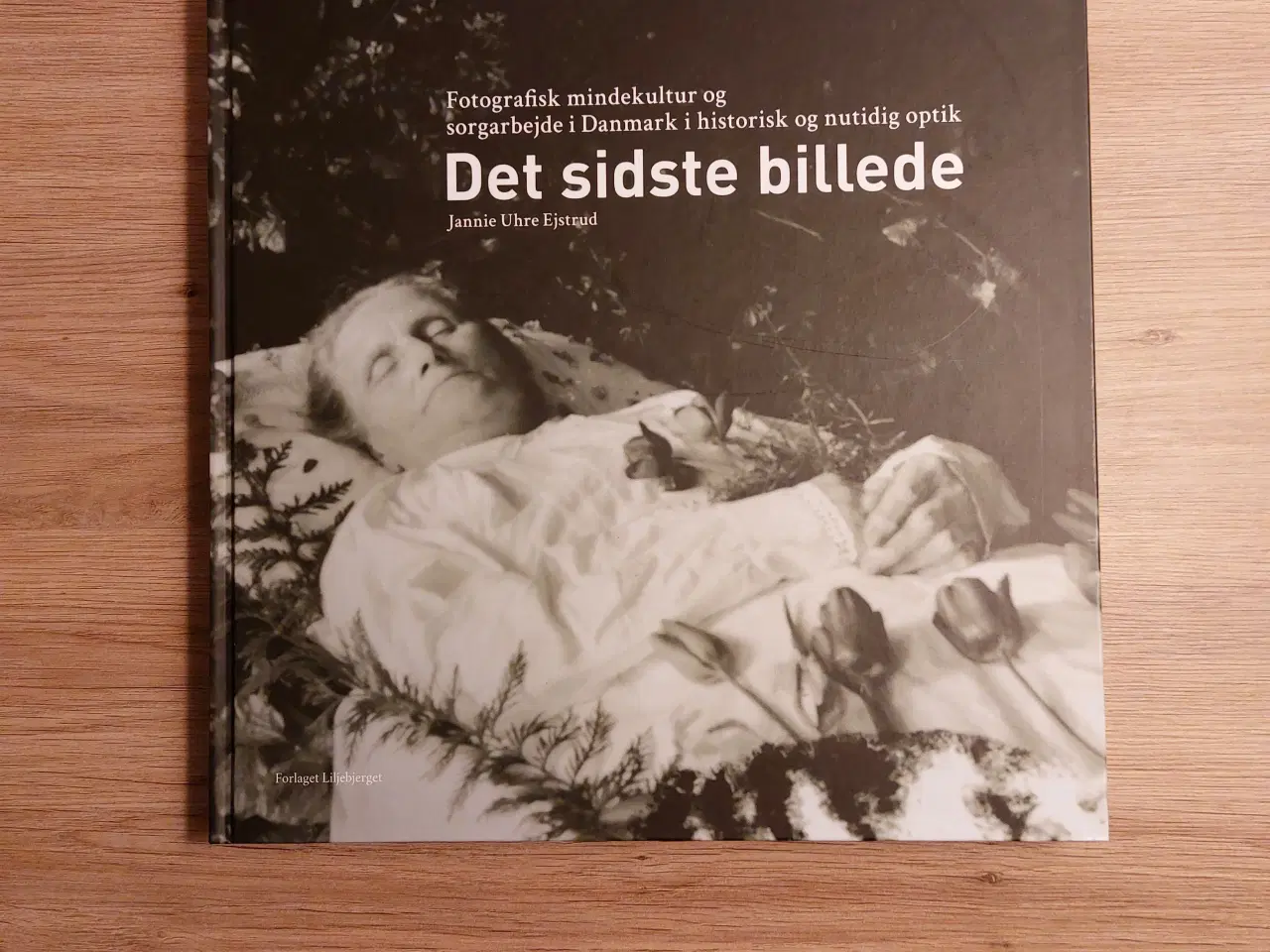 Billede 1 - Bog: Det sidste billede