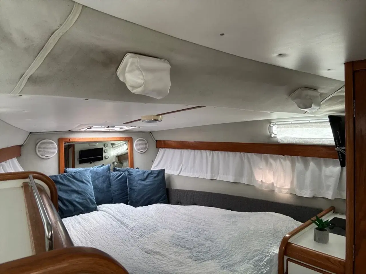 Billede 6 - Nimbus 29 DC