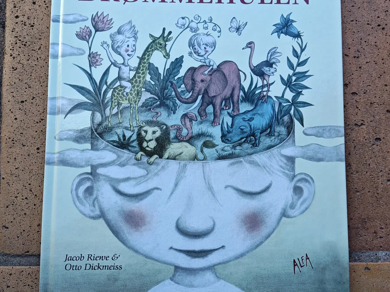 Billede 1 - Drømmehulen Bog