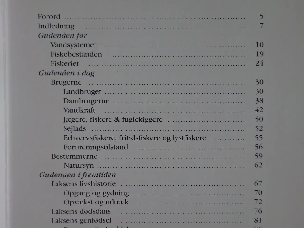 Billede 4 - Laks i Gudenåen  :