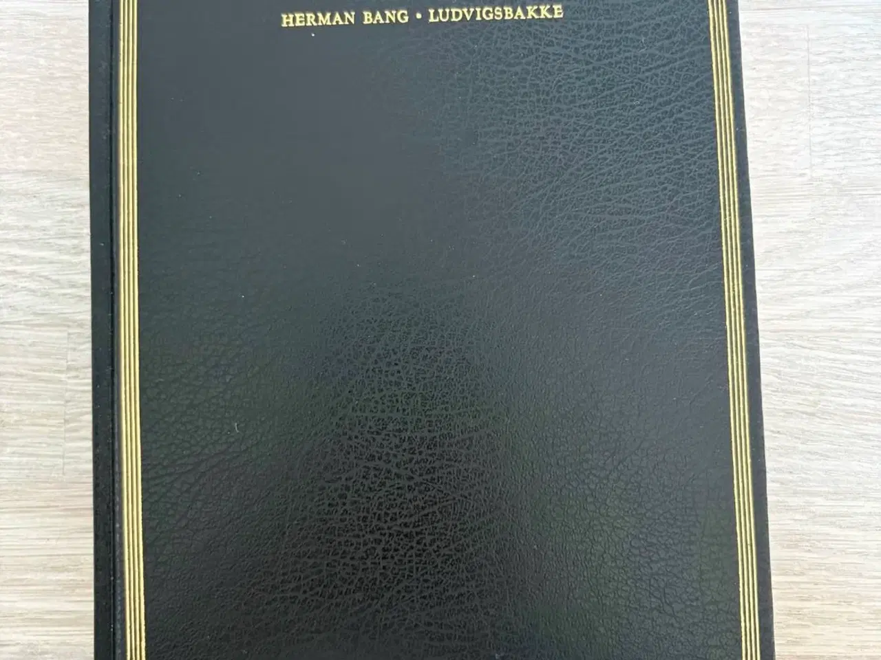 Billede 1 - Herman Bang Ludvigsbakke bog