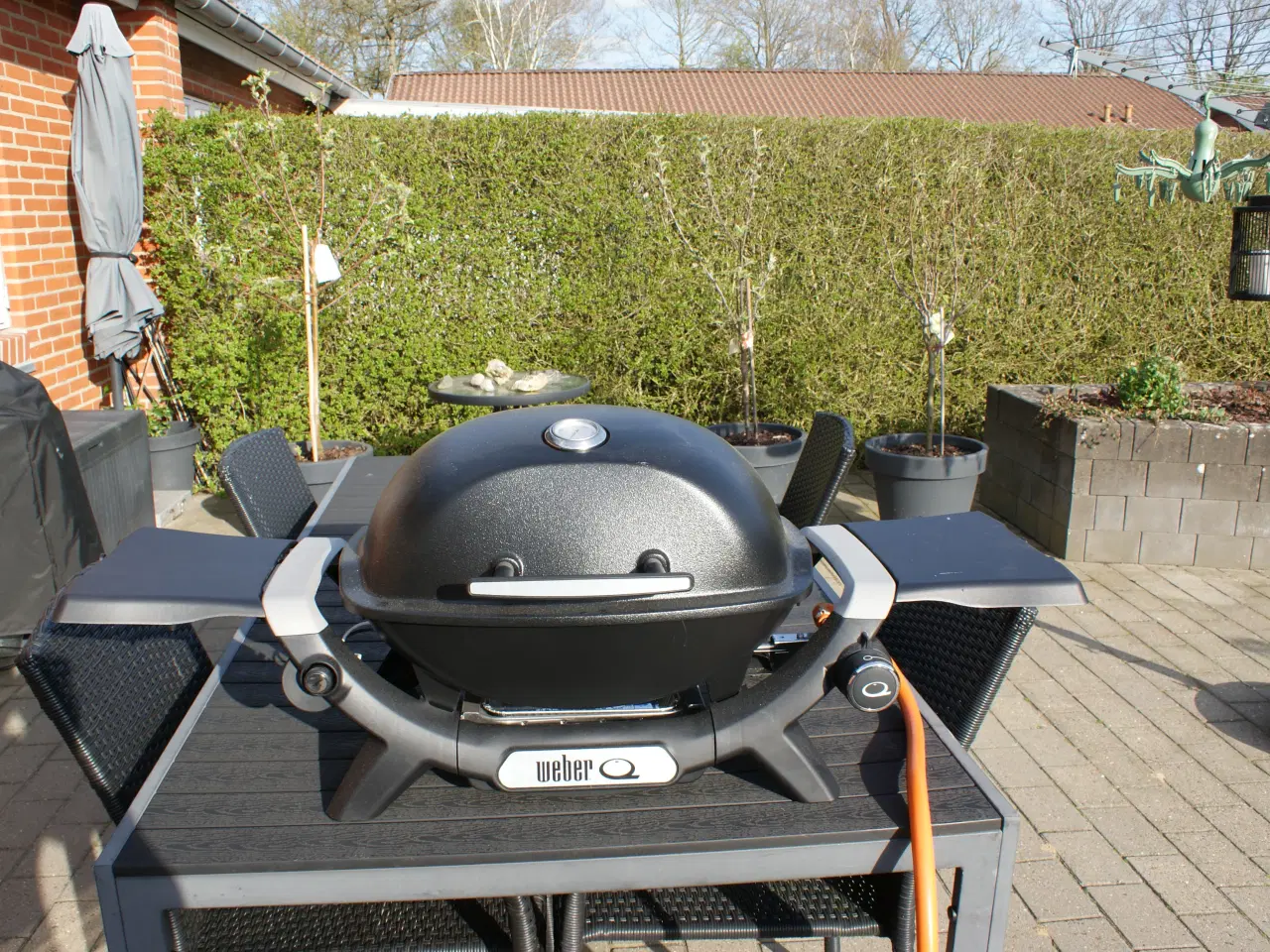 Billede 1 - Weber q1200