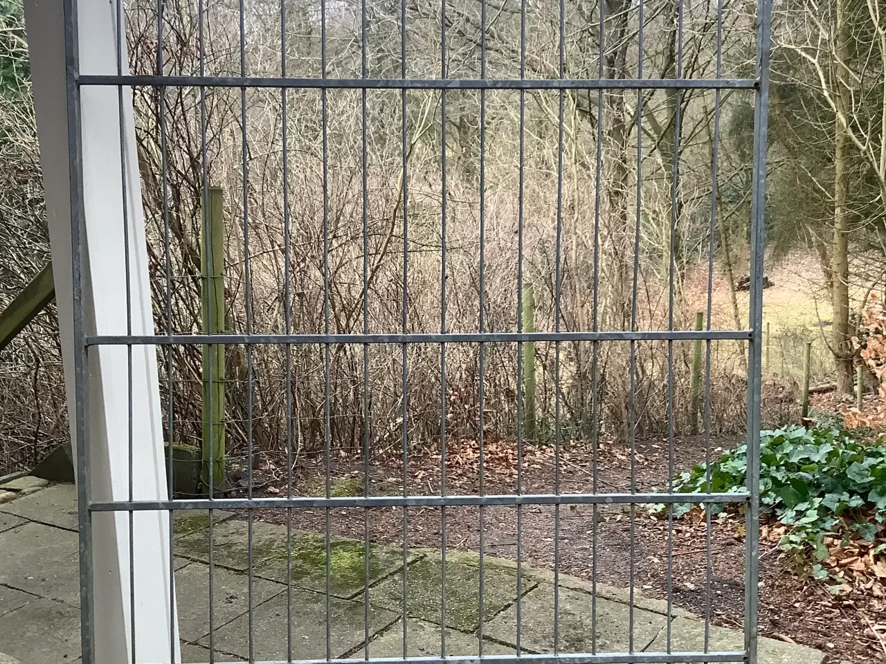 Billede 4 - Hundegård til udvendig brug