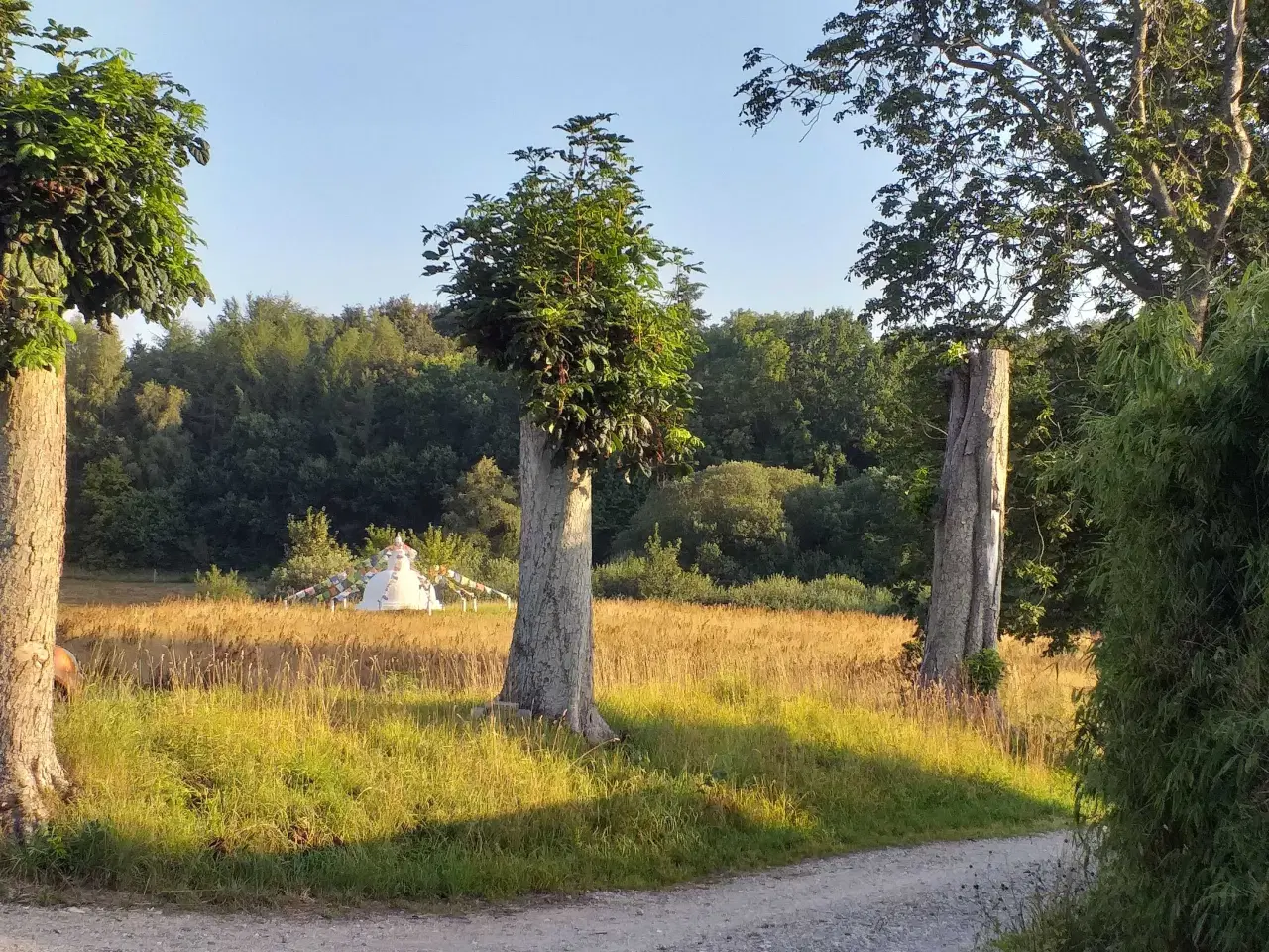 Billede 1 - Hus til salg I økosamfund på fyn