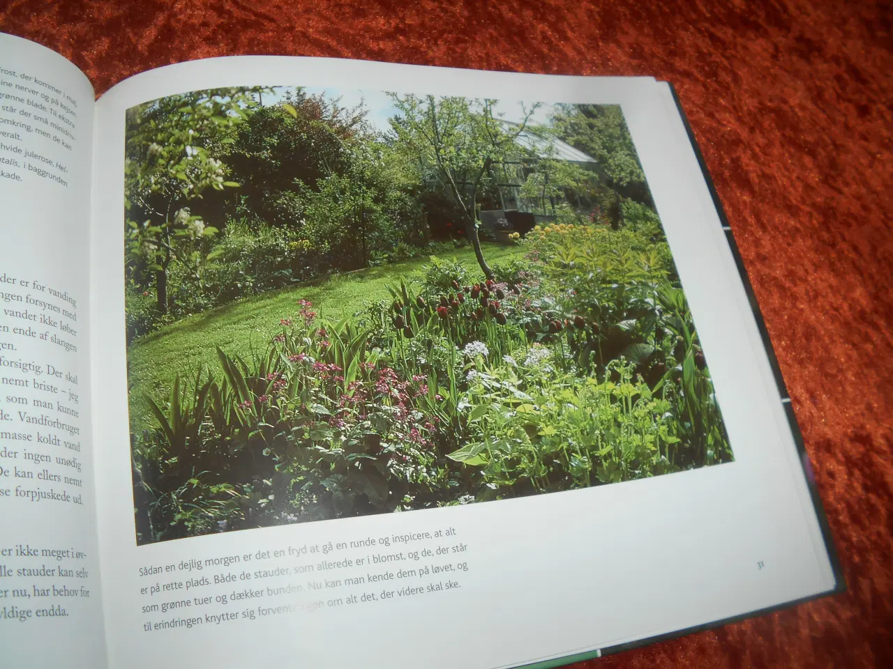 Billede 3 - Et år i min have, Anne Just