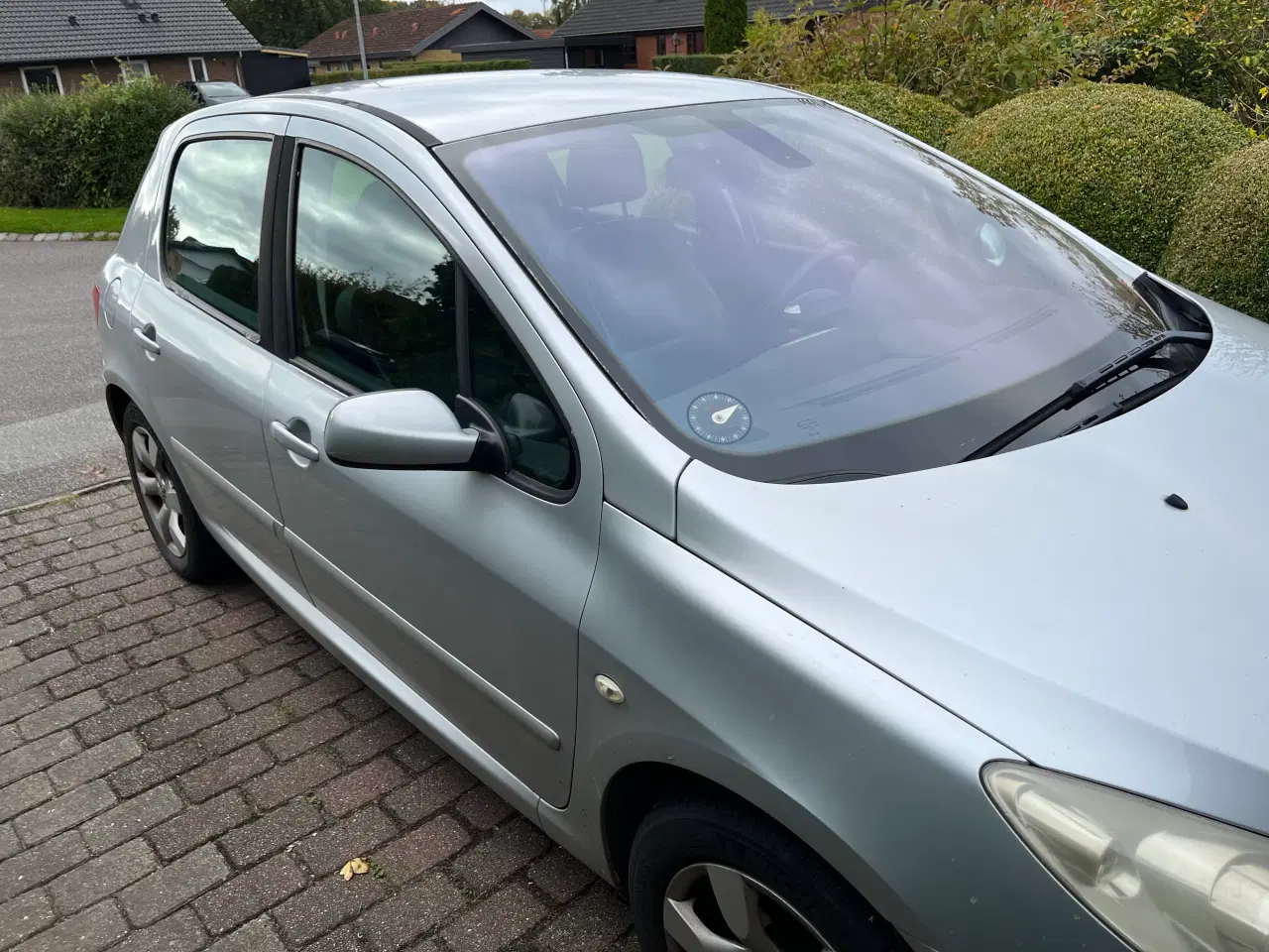 Billede 5 - Peugeot 307