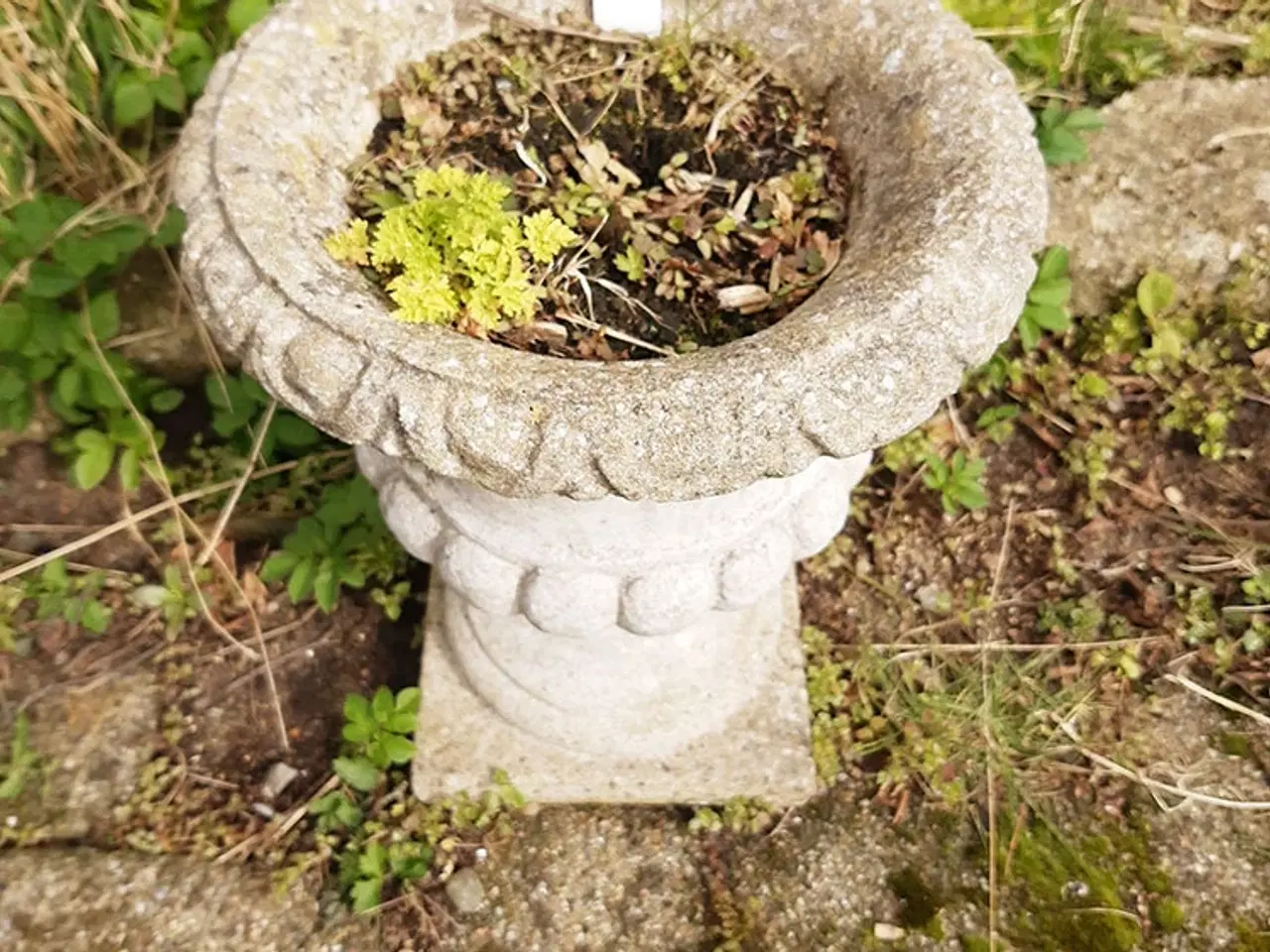 Billede 1 - Havekrukke