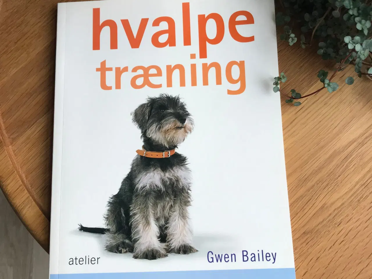 Billede 1 - hvalpetræning   af Gwen Bailey