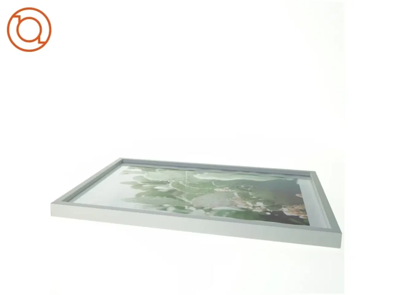 Billede 3 - Plakat og billedramme (str. 42 x 32 cm)