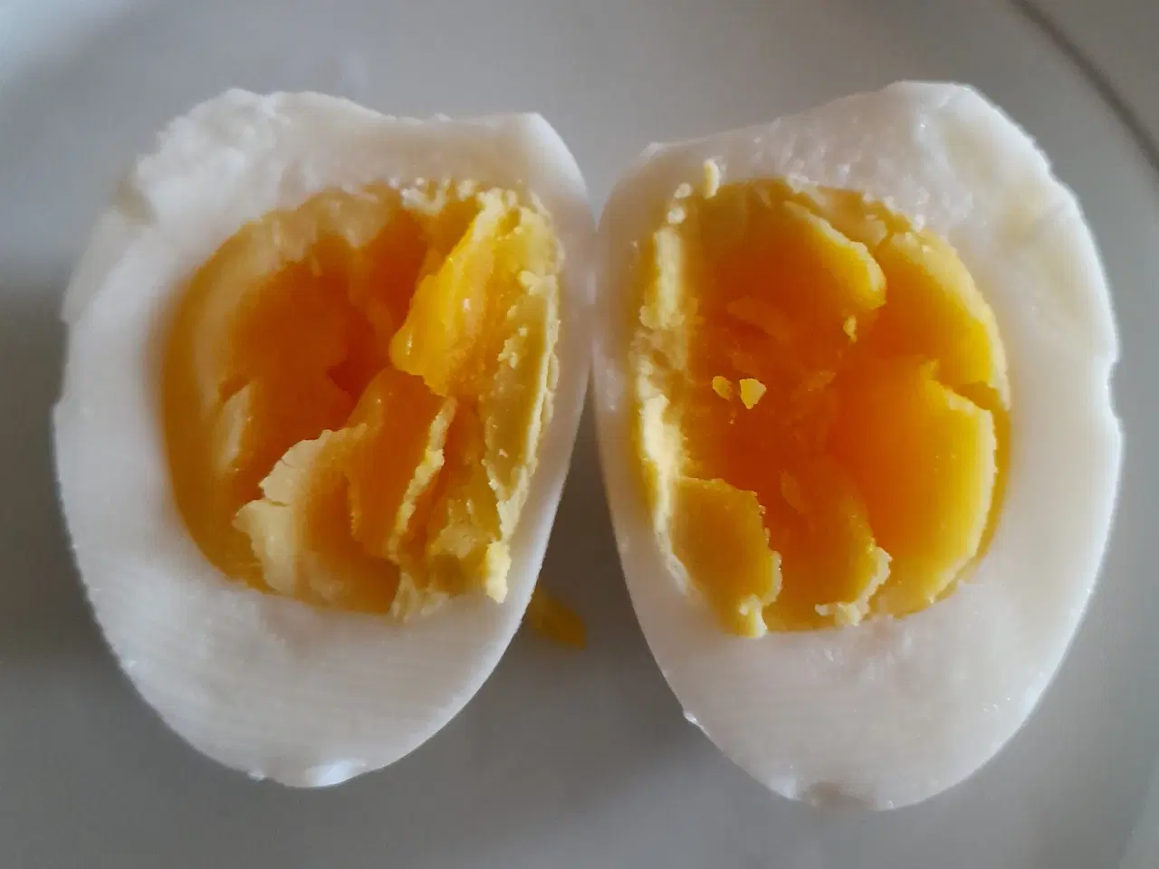 Billede 6 - Daggamle Sølv sort båndede Dværg Wyandotter