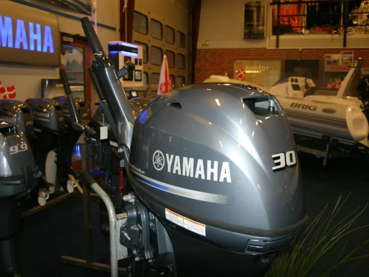 Billede 1 - Yamaha F30BEHDL