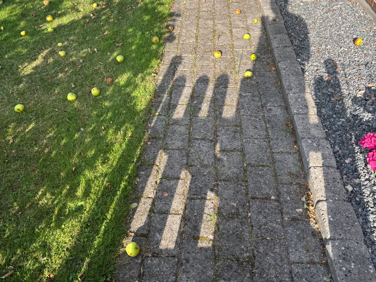 Billede 4 - Gratis fliser
