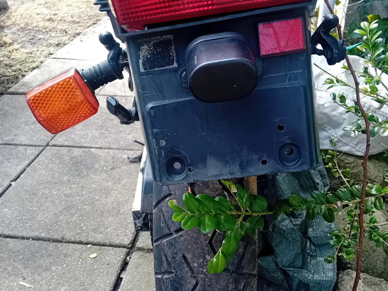 Billede 2 - Honda cbr600 pc19