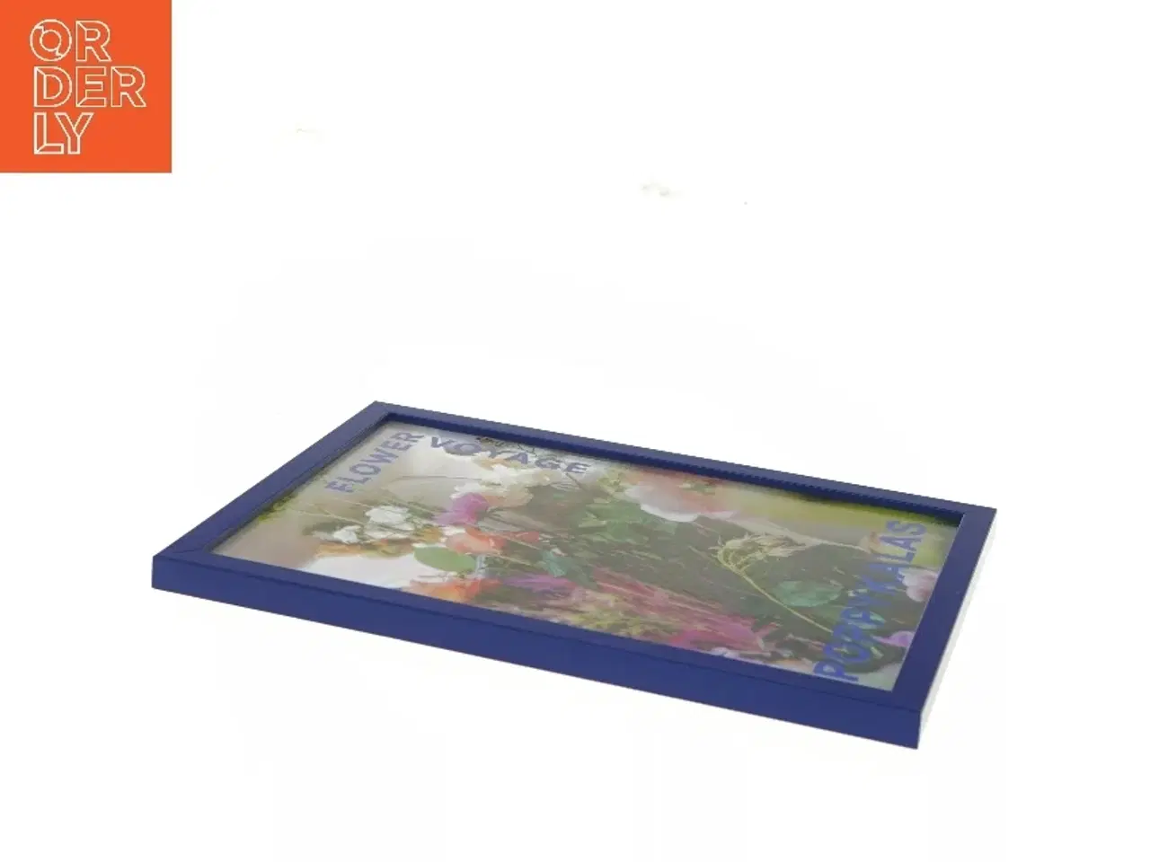 Billede 3 - Poppy Kalas Flower voyage indrammet poster/plakat (str. 32x23 cm)