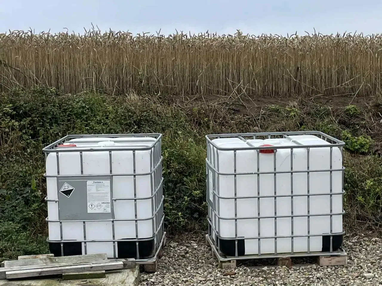 Billede 1 - Palletank 1000L
